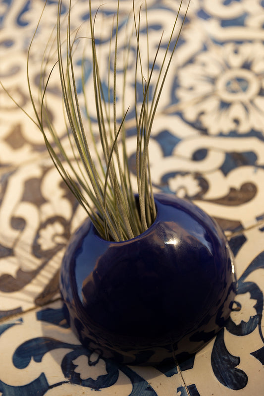 Conjunto Vasos para Plantas Aéreas “Liberdade”